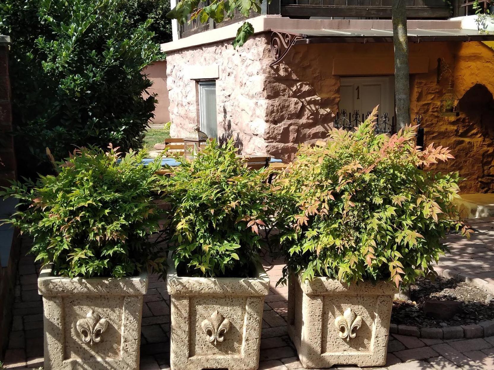 Ferienwohnung Siraly Haz Révfülöp Exterior foto